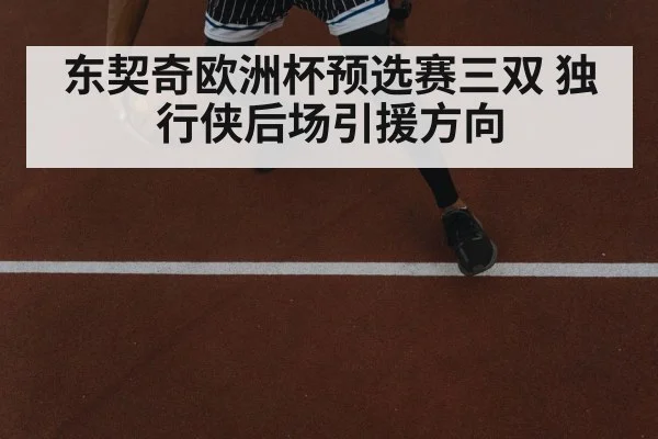 东契奇欧洲杯预选赛三双 独行侠后场引援方向