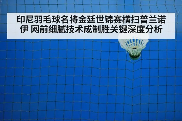 badminton net shot